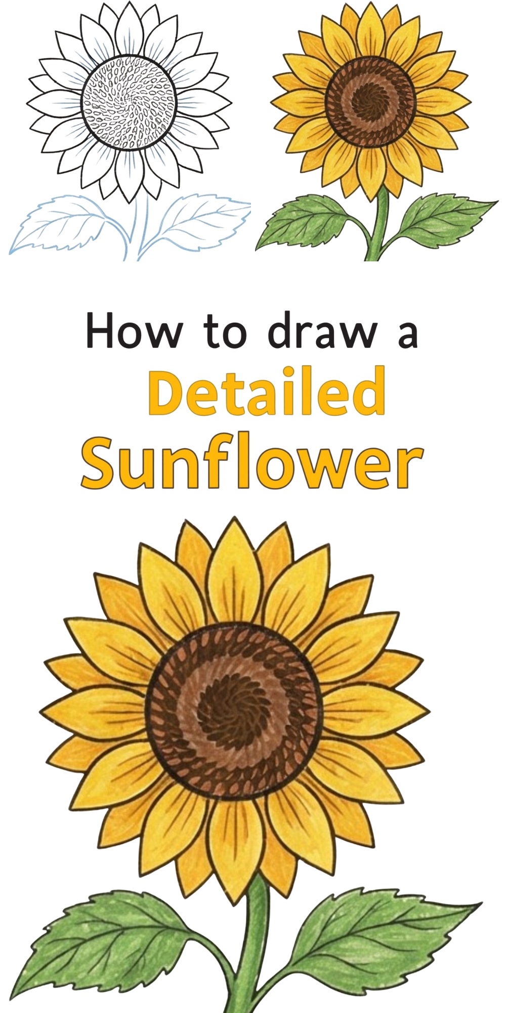 Detailed Draw How to Draw a Detailed Sunflower Step by Step