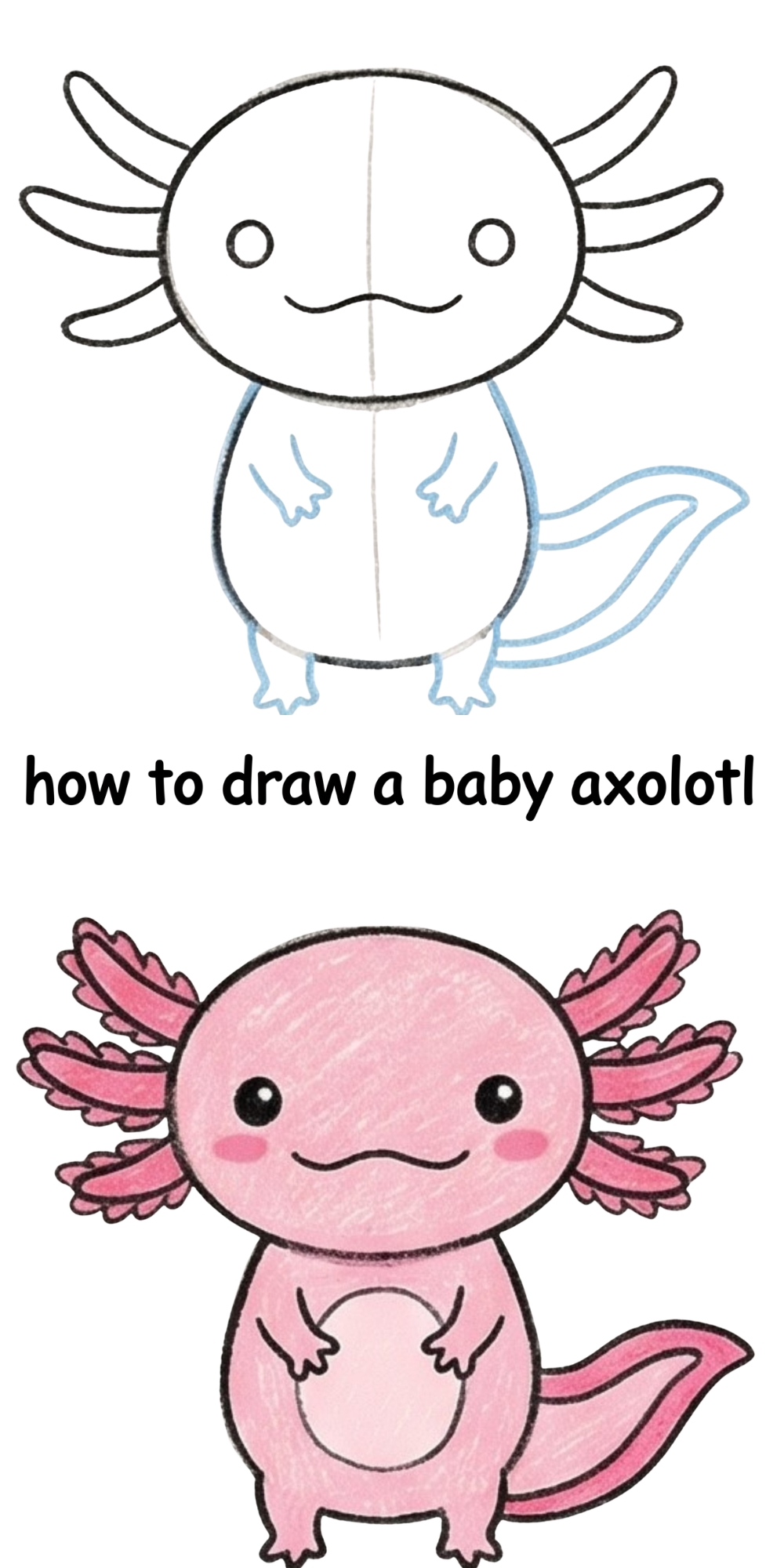 How to Draw a Baby Axolotl: The Cutest Little Water Buddy