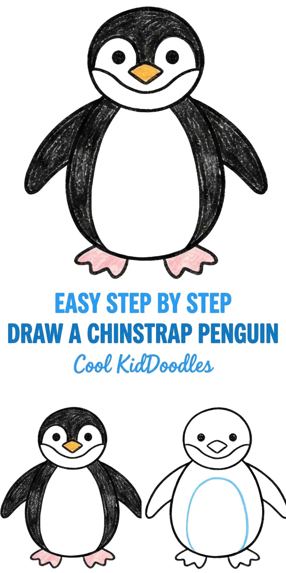 How to Draw a Chinstrap Penguin: A Fun and Easy Step-by-Step Guide