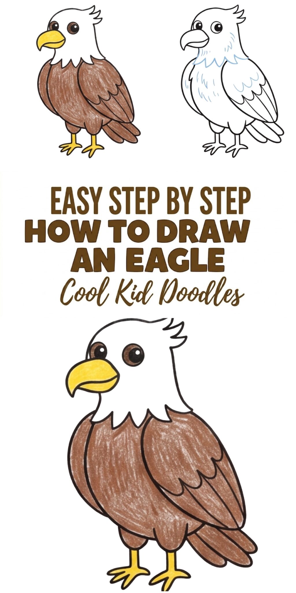 How to Draw an Eagle Step by Step for Kids