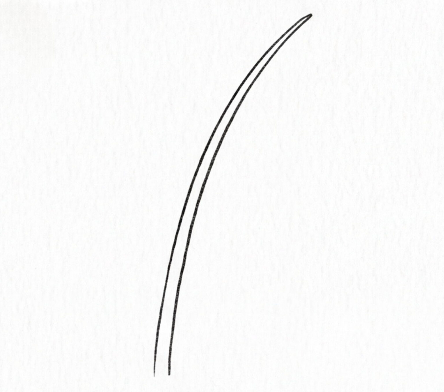 Easy Fishing Rod Drawing for Kids