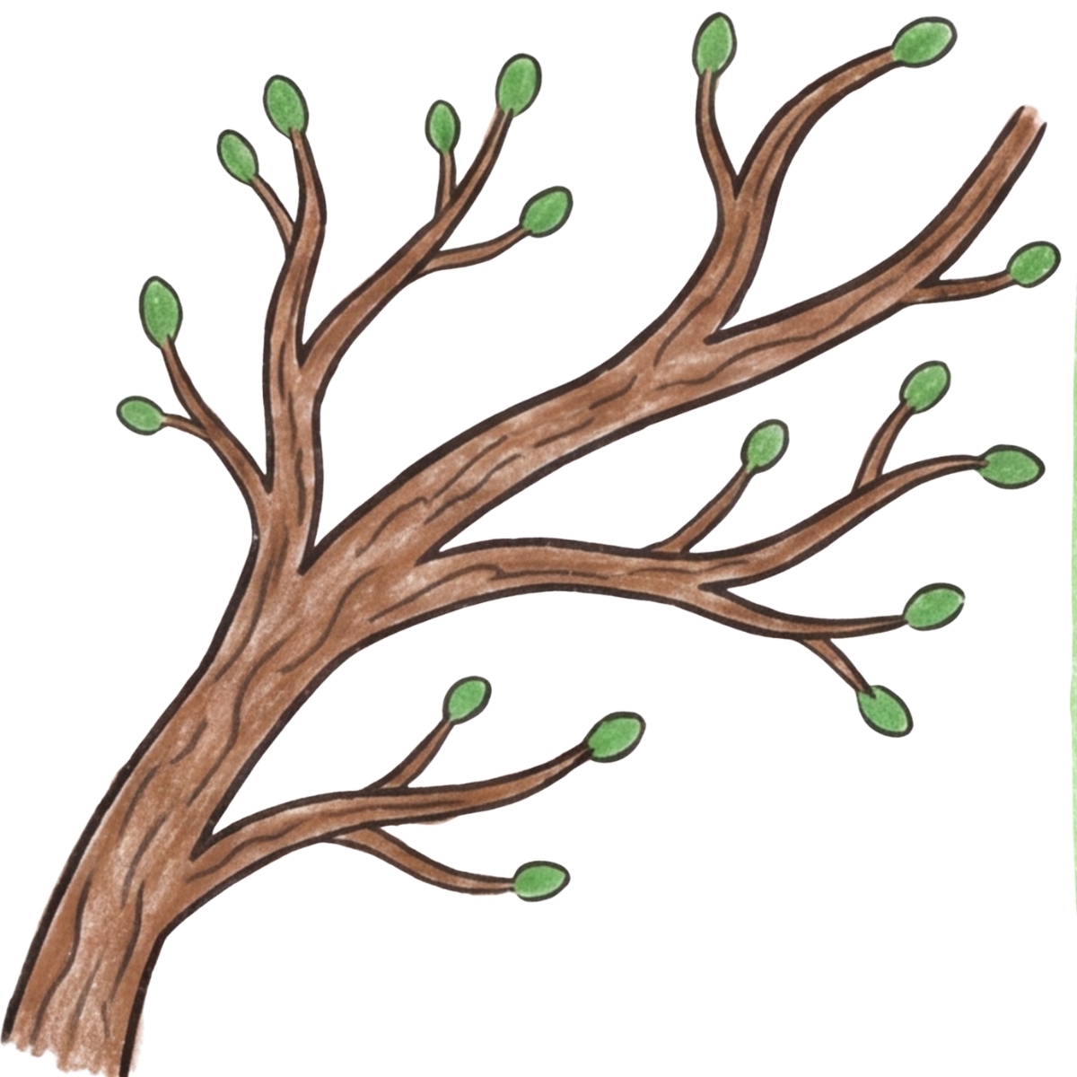 How to Draw a Family Tree: A Fun Step-by-Step Guide for Kids